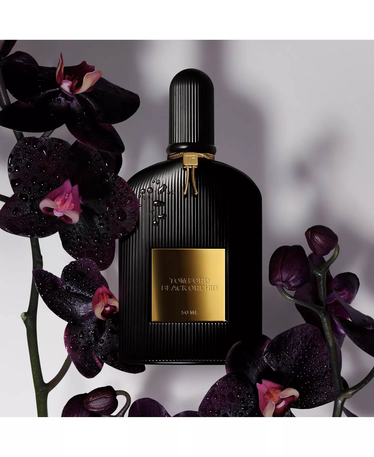 TF Black Orchid Eau de Parfum — Dark Floral Truffle Black Orchid & Patchouli Seductive Unisex Luxury Fragrance | Black Ribbed Bottle 100ml